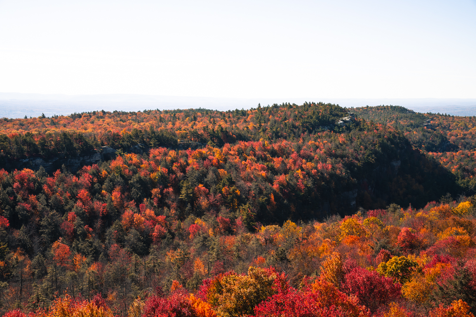 Fall colors