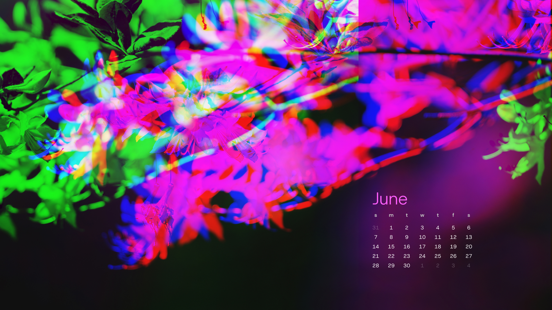 June 2026